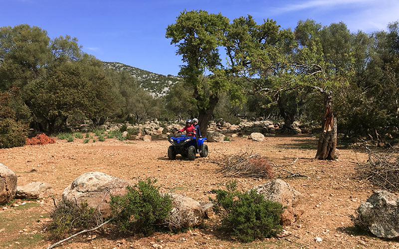 Tour in Quad a Cala Sisine Baunei in Sardegna