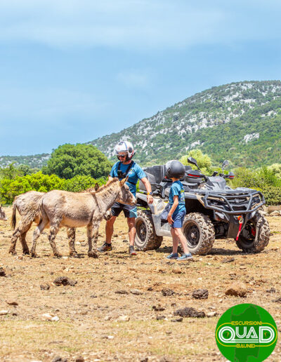 Tour Quad panoramico Baunei Golgo Punta Salinas Baunei