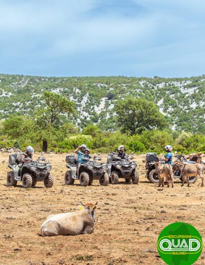 Tour Quad panoramico Baunei Golgo Punta Salinas Baunei